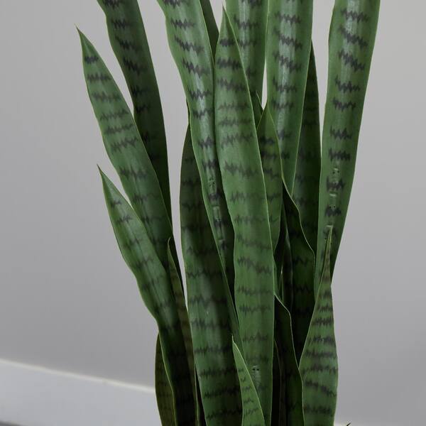thumbnail image 2 of Realistic Artificial Tropical Plant - Cactus & Sansevieria Succulent - Leaf Brand 2 of 6