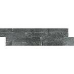 Coal Canyon Ledger Panel 6 in. x 24 in. Natural Quartzite Wall Tile (6 sq. ft./Case)
