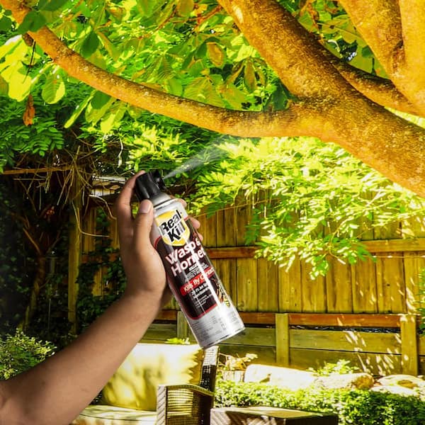 Avenger | Insect Killer Aerosol Spray - 12 oz. Aerosol | Pest Control Solution (FOR Indoors / Outdoors) | ARBICO Organics