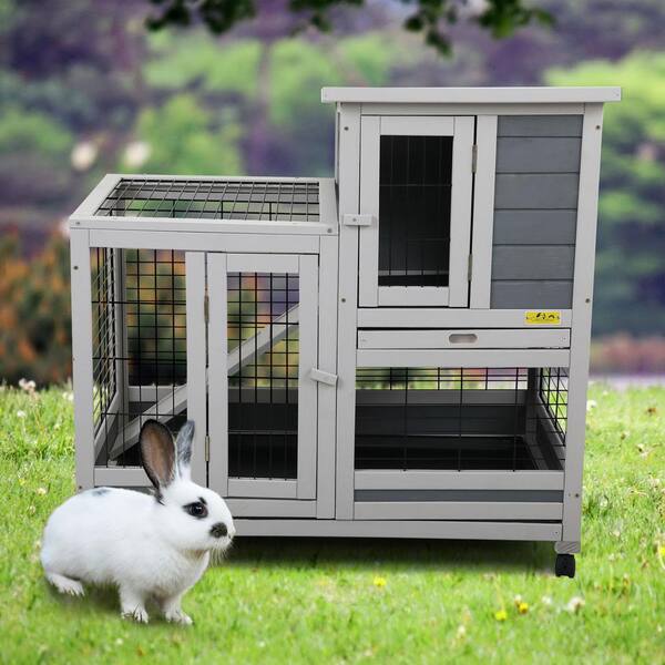 rabbit hideaway indoor