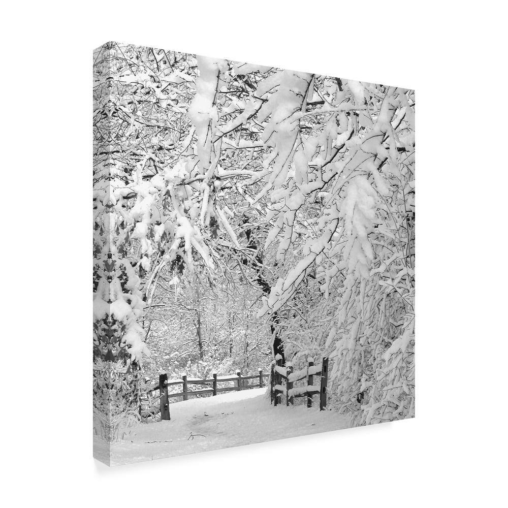 Winter Wonderland White Canvas Art Print, 14x14