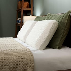 TEMPUR-PEDIC TEMPUR-Cloud Standard Pillow, 2-Pack 154161P4 - The