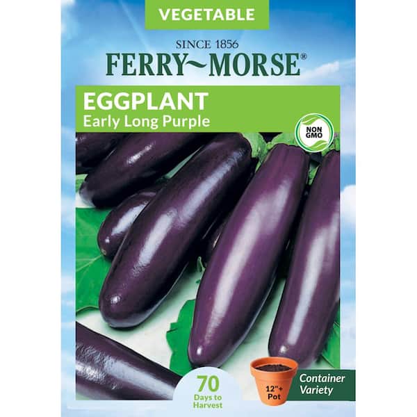 Ferry-Morse Eggplant Long Purple Early Fruit Seeds