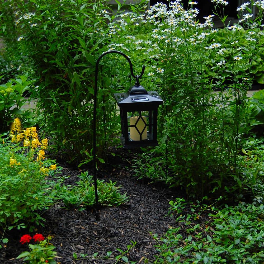 Black Solar LED Lantern with Shepherd's Hook