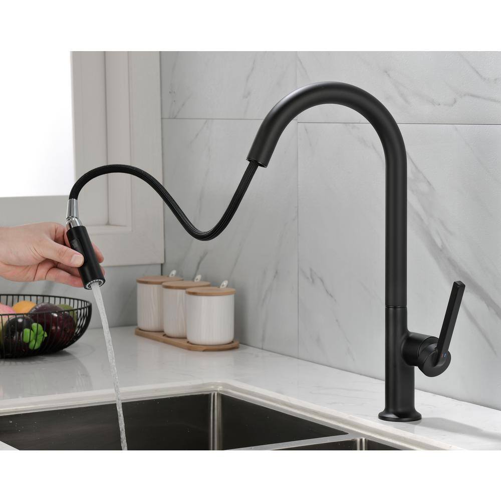Matte Black Single Handle High-Arc Kitchen Faucet with Pull-out Spray