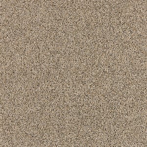Household Hues II Full Grey- Gray 41 oz. Polyester Textured Installed Carpet