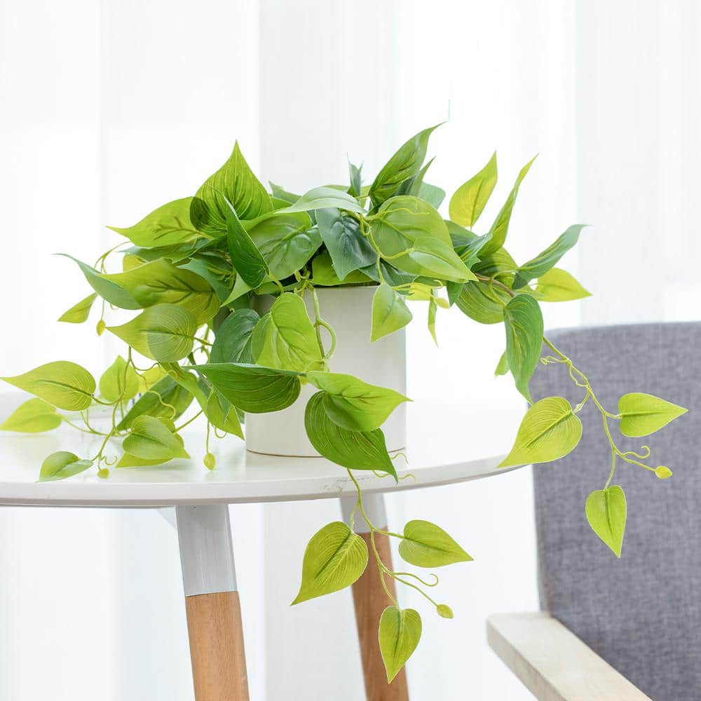 Elegant Potted White Pothos Ivy, 13in Plastic Outdoor Plant