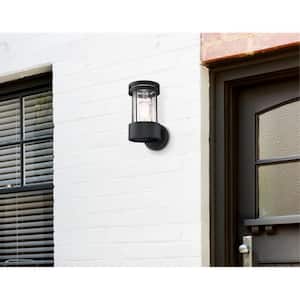 Mosley 1-Light Textured Black Outdoor Wall Mount Lantern with Clear Crackle Glass