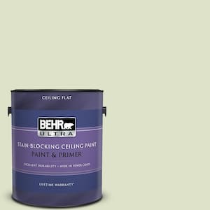 1 gal. #M350-2 Aloe Nectar Ceiling Flat Interior Paint with Primer