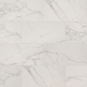 Regallo Calacatta Isla 24 in. x 48 in. Polished Porcelain Floor and Wall Tile (35-Cases/542.5 sq. ft./Pallet)