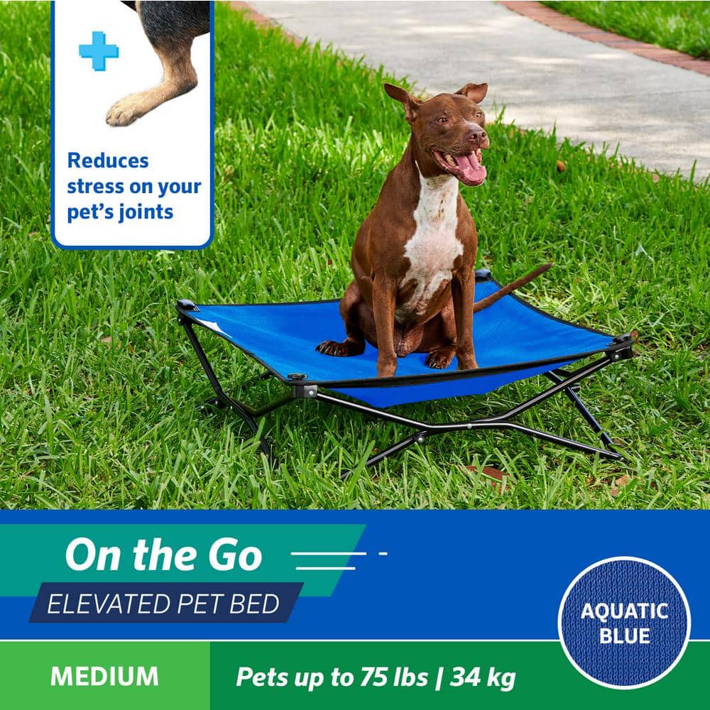 Medium Aquatic Blue Elevated Outdoor Pet Bed