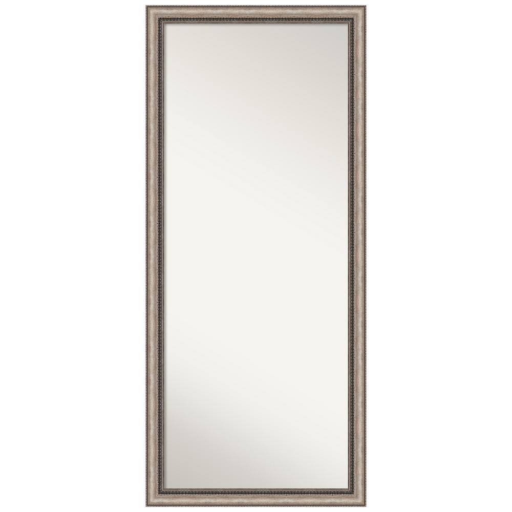 Elegant Full-Length Bronze and Silver Wood Framed Mirror