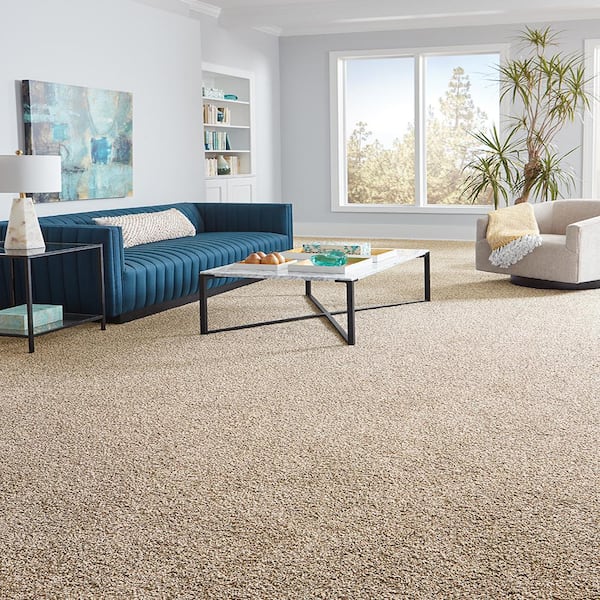 Home Decorators Collection Radiant Retreat II Soft Sandstone Beige