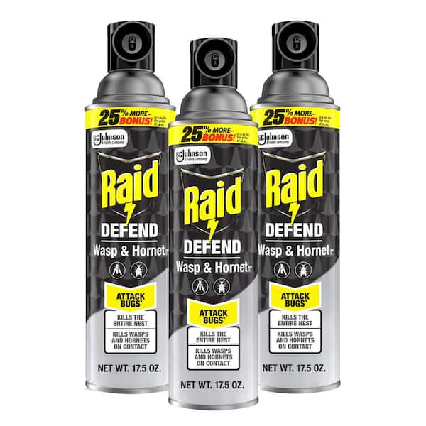17.5 oz. Wasp and Hornet Killer, Outdoor Flying Insect Killer Spray (3-Pack)