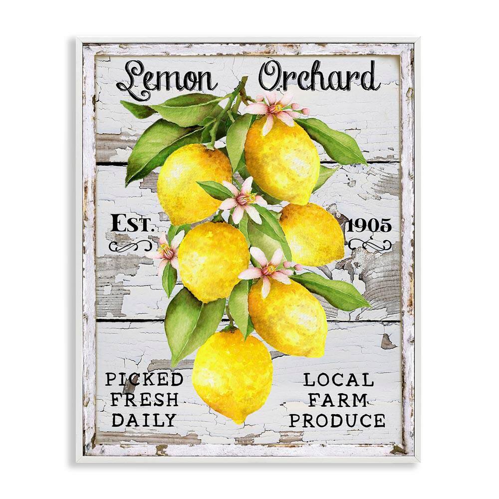 Lemon Orchard Market by Creatif Belle White Framed Food Giclee Art Print 20 in. x 16 in. price history on PriceWatchPro