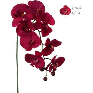 33.5" Burgundy Indoor/Outdoor Artificial Phalaenopsis Orchid Flowers, 2-Pack, Floral Home by Artificial Flowers