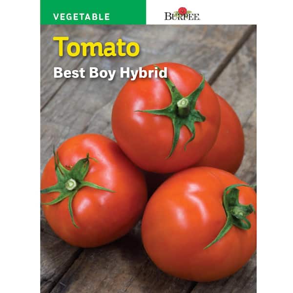 Burpee Giant Supersteak Hybrid Tomato