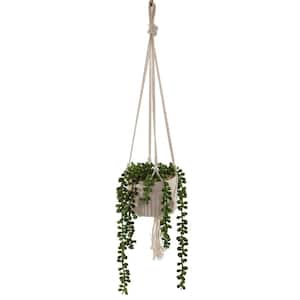20 in. Artificial String of Pearls in Macrame Hanging Ceramic Planter