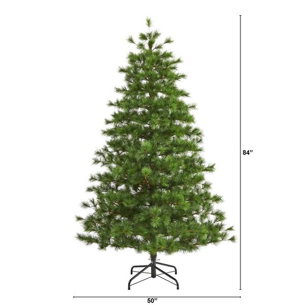 Do sainsburys sell real christmas trees