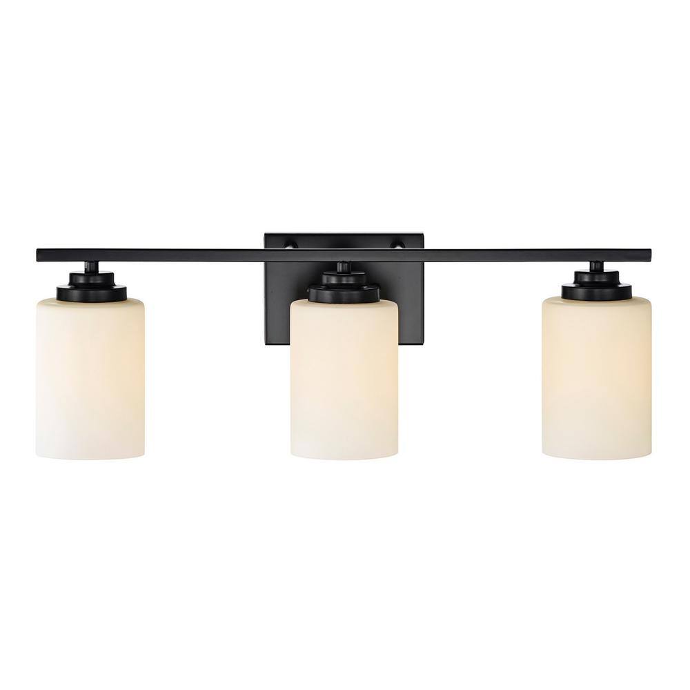 Aliana 22 in. 3-Light Matte Black Modern Vanity Light with Etched White Glass Shades price history on PriceWatchPro