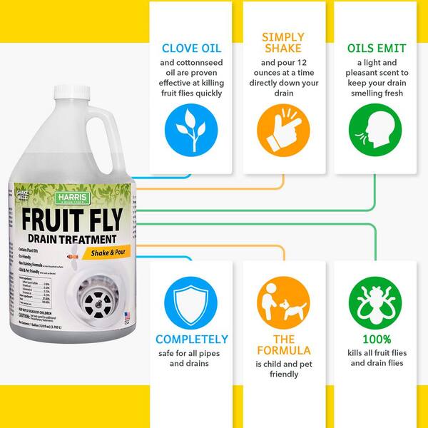 Harris Fruit Fly Trap, Fruit Fly Killer for Indoors, 6oz (1 pk.) at Tractor  Supply Co.
