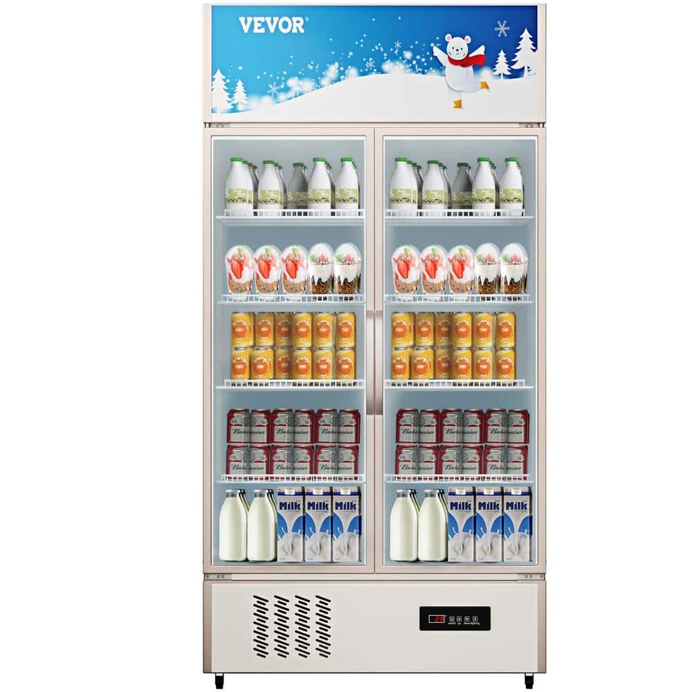 Commercial Refrigerator Capacity 23 cu.ft. Glass Door Display Fridge Upright Beverage Cooler with LED Light, Silver