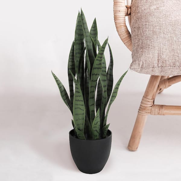 LIVING LUXURY 26 in. Sanseveria Artificial Snake Plant in Black Pot