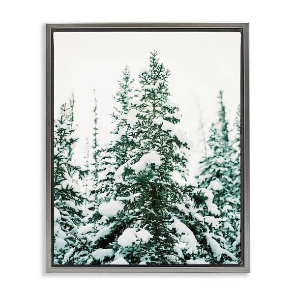 Stupell Industries Woodland Fir with Snow by Justine Milton 1 Piece Floater Frame Graphic Print Nature Poster Art Print 21 in. x 17 in.