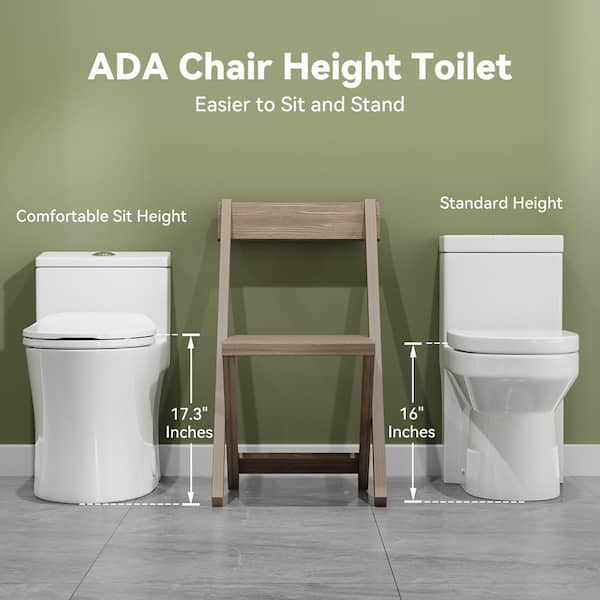 HOROW Chair Height Dual Flush Elongated Toilet with Non-Electric Bidet