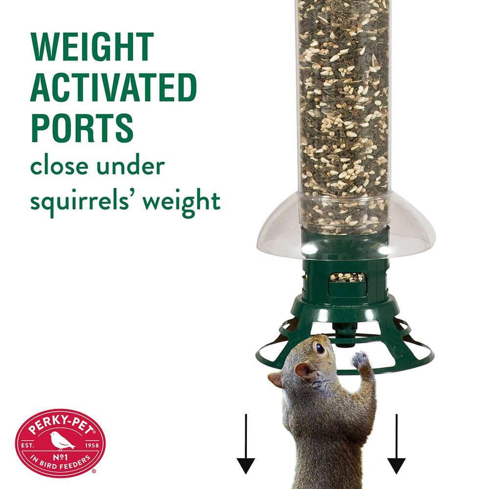 Green and Clear Squirrel Resistant Hanging Tube Bird Feeder