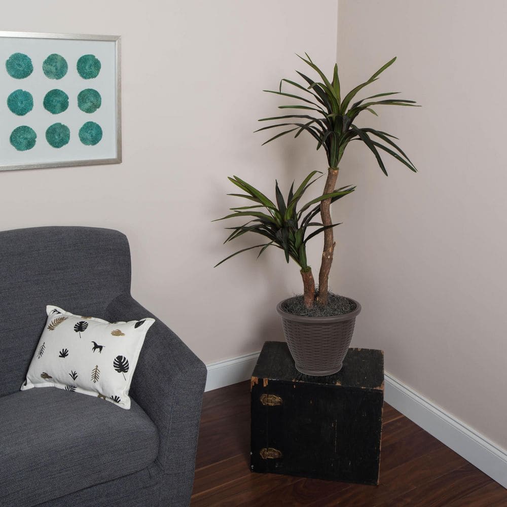 Vickerman 4 ft. Green Artificial Marginata Leaf Tree in Rattan Basket TBU1140 The Home Depot