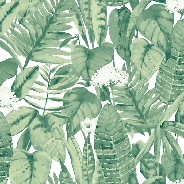 Tempaper Tropical Jungle Green Peel and Stick Wallpaper Sample