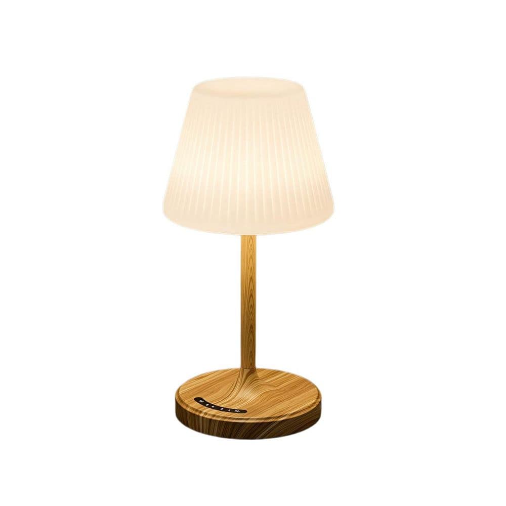 1-Piece Cordless Rechargeable Waterproof Shower Lamp in Wood Grain, 3-Color Dimmable Touch Control Night Light price history on PriceWatchPro