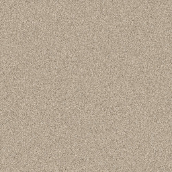 Lifeproof 8 in. x 8 in. Texture Carpet Sample - Coastal Charm II -Color Lush