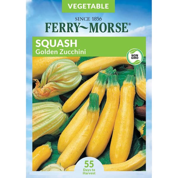Ferry-Morse Squash Golden Zucchini Fruit Seeds
