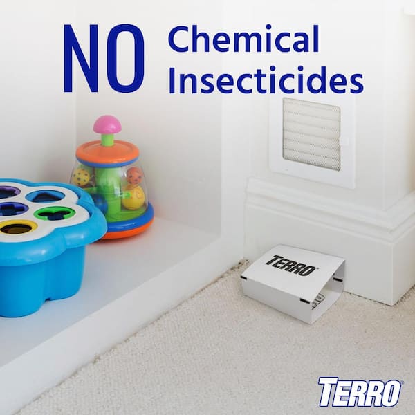 ENOZ Crawling Pest and Insect Traps (6-Pack) ET4200.1 - The Home Depot