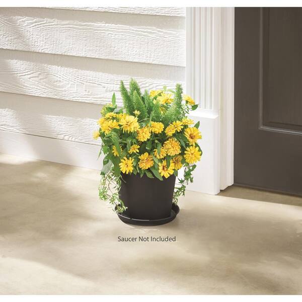Vigoro Antonella Small Black Plastic Planter with Drainage Hole (6