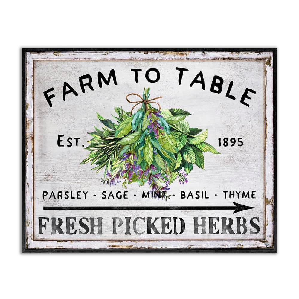 Vintage Farm Herbs by Creatif Belle Black Framed Food Giclee Art Print 11 in. x 14 in. price history on PriceWatchPro