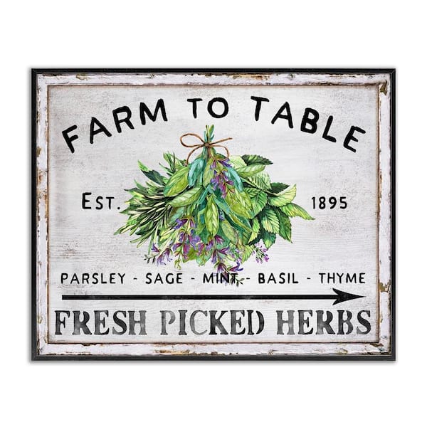 Stupell Industries Vintage Farm Herbs by Creatif Belle Black Framed Food Giclee Art Print 11 in. x 14 in.