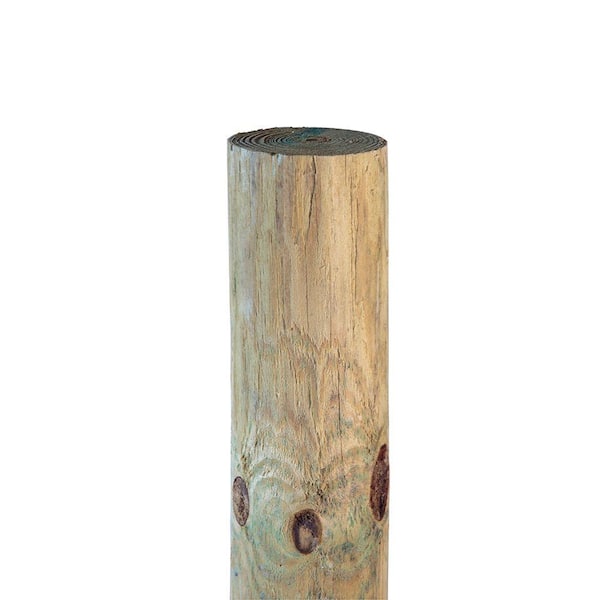 Outdoor Essentials 4-1/2 in. x 5 in. x 6-1/2 ft. Pressure-Treated Southern Pine Round Wood Agriculture Fence Post