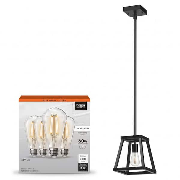 Katalyst 60-Watt Integrated LED Pendant Light and Dimmable ST19 E26 Edison LED Light Bulb (4-Pack)