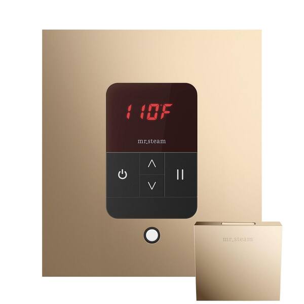 iTempo Square Steam Shower Control and Steamhead in Polished Gold