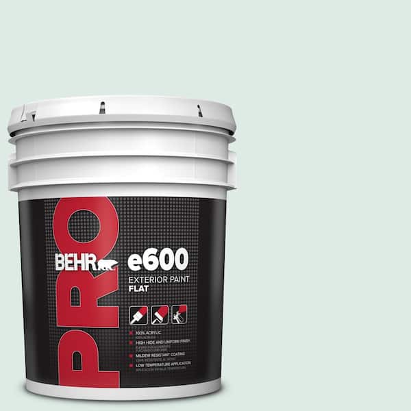 5 gal. #M430-1 Snowbound Exterior Flat Paint