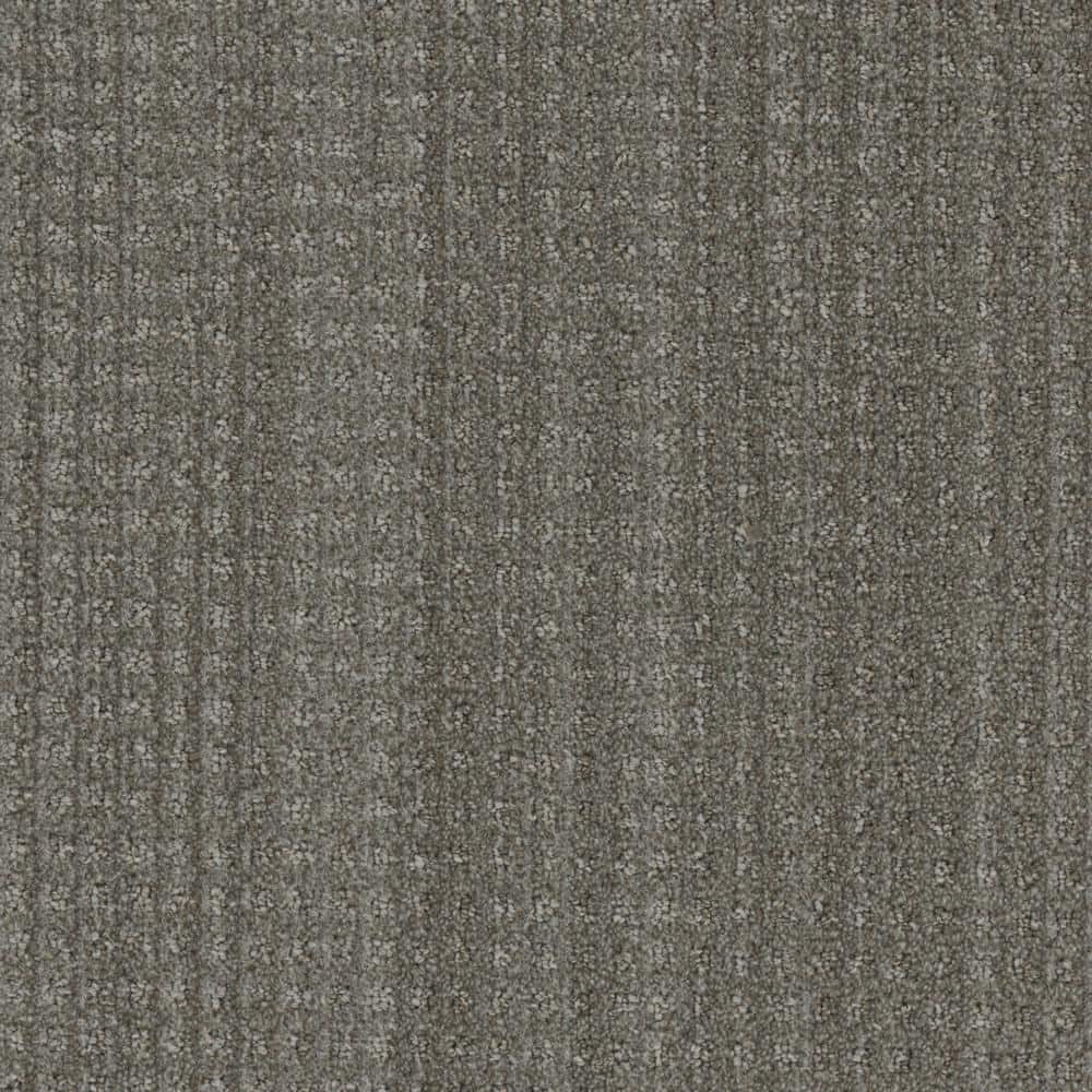 8 in. x  8 in. Pattern Carpet Sample - Dovetail -Color Ranch price history on PriceWatchPro