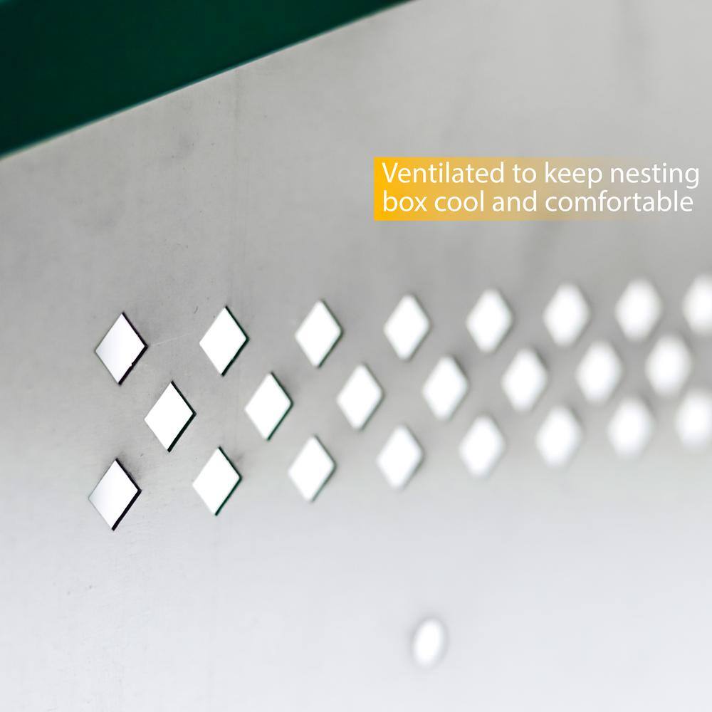 Green Galvanized Steel 3-Compartment Chicken Nesting Box