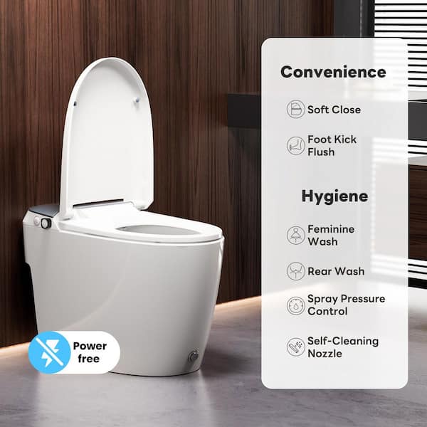 Elongated Non-Electric Bidet Toilet 1.0 GPF in Dark Gray with Air Pressure Assisted Flush, Rear and Front Wash