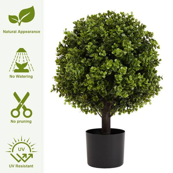 2-Piece 1.8 ft. Artificial Boxwood Tree in Stable Black Pot with