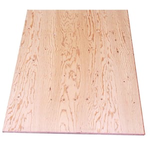 T&G Sheathing Plywood (Common: 19/32 in. x 4 ft. x 8 ft.; Actual: 0.563 in. x 48 in. X 96 in.)