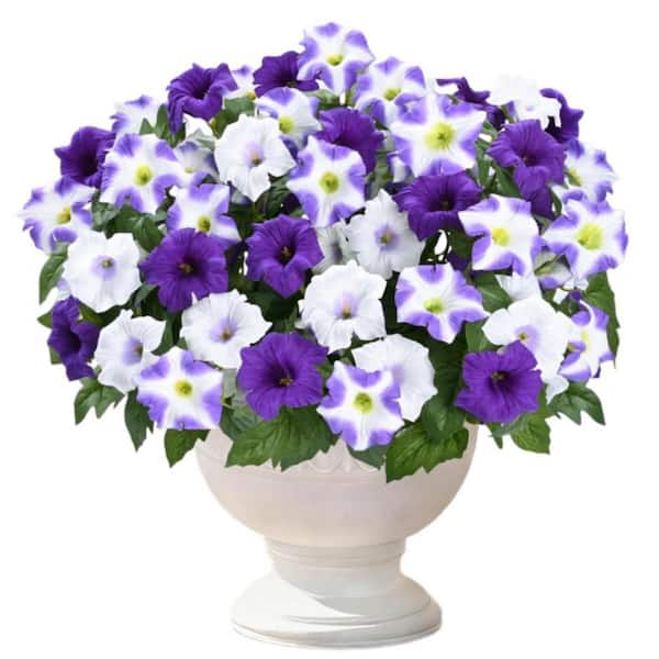 4 Bundles 15.7 in. Purple White Indoor/Outdoor Artificial Petunia