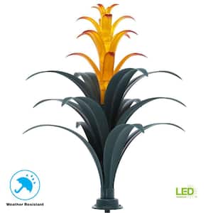 Bromeliad Brown and Green Plant Solar Integrated LED Light